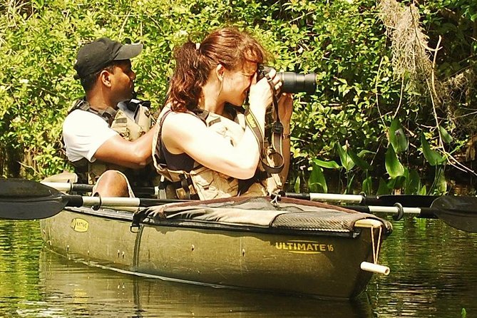 3 Hour Guided Mangrove Tunnel Kayak Eco Tour - Why You Should Consider This Kayak Eco-Tour