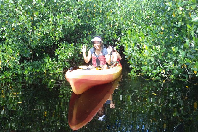 3 Hour Guided Mangrove Tunnel Kayak Eco Tour - The Value of This Eco-Tour
