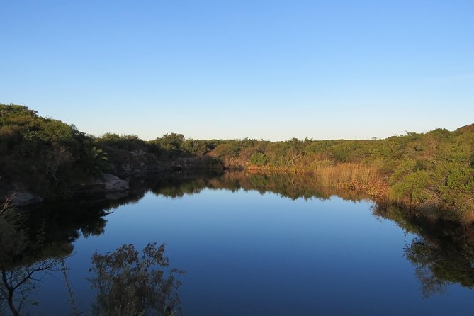 Full Day Birdwatching and Nature Tour - Itinerary Breakdown