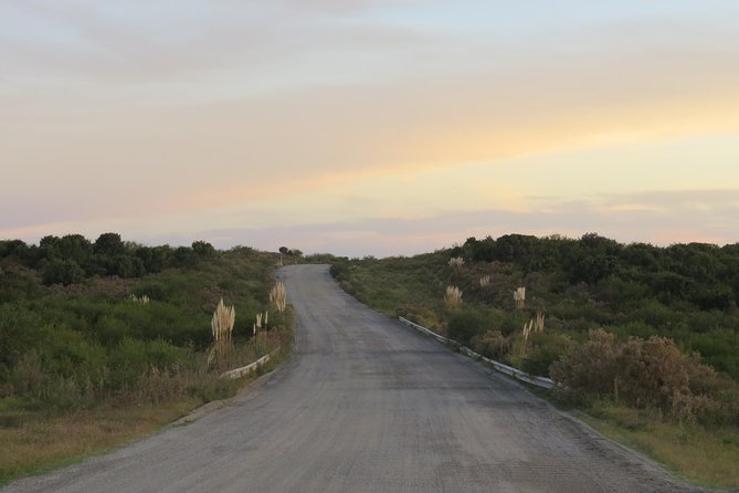 Full Day Birdwatching and Nature Tour - FAQ