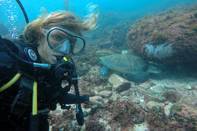 Diving with Turtles in Floripa - Key Points