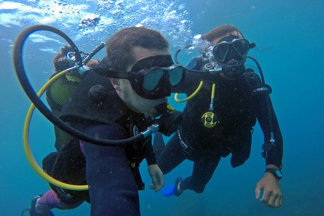 Diving with Turtles in Floripa - Frequently Asked Questions