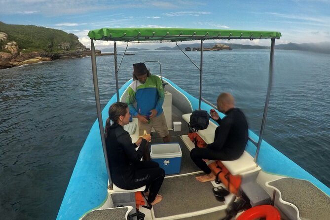 Diving with Turtles in Floripa - Who Should Consider This Tour?