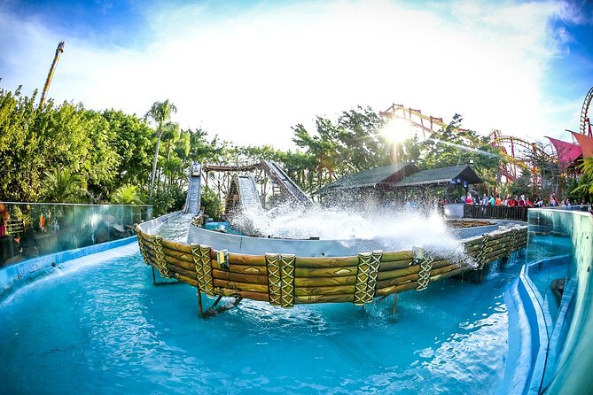 Transfer Beto Carrero - A Practical Review of the Florianopolis to Beto Carrero Transfer Experience