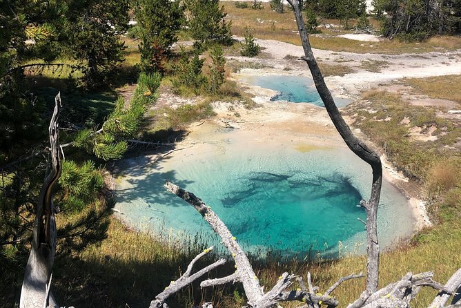 Private Hidden Gems of Yellowstone! Lunch w/ family friendly hikes included! - Why This Tour Is Worth Your While