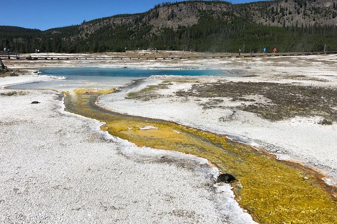 Private Hidden Gems of Yellowstone! Lunch w/ family friendly hikes included! - Final Thoughts