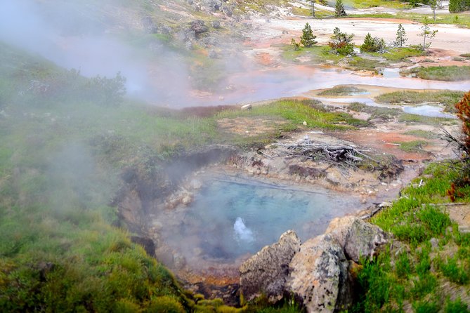 Private Hidden Gems of Yellowstone! Lunch w/ family friendly hikes included! - Discover Yellowstone’s Hidden Gems with a Private Tour