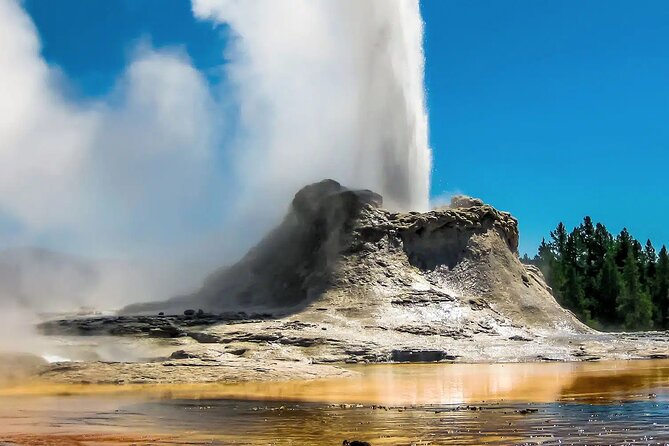 Yellowstone Full Day Private Tour & Hike - from Inside the Park - Key Points