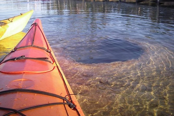 Kayak Day Paddle on Yellowstone Lake - An In-Depth Look at the Yellowstone Lake Kayak Tour