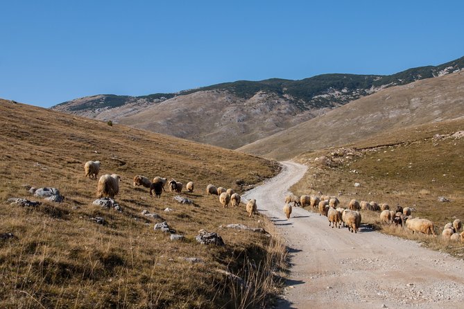 Lukomir Village Tour - From Sarajevo - Introduction to the Experience