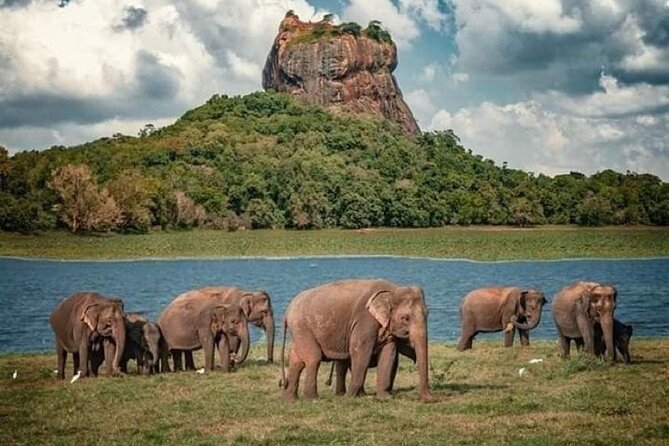 Sigiriya and Dambulla Day Trip from Pasikuda and Kalkuda - Good To Know  