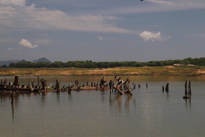 Live among swimming elephants and indigenous tribes  Gal Oya National Park - Authentic Insights from Travelers
