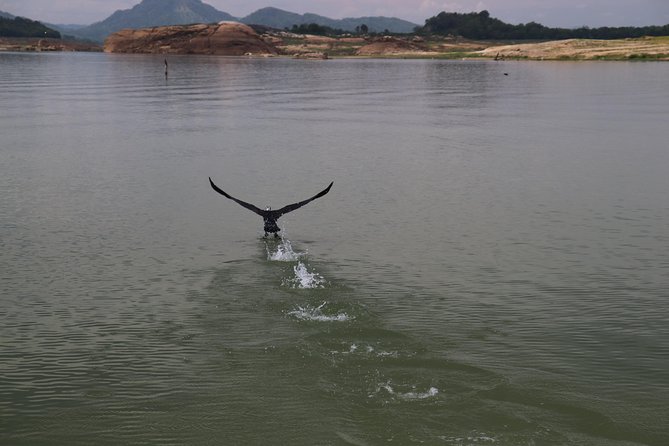 Live among swimming elephants and indigenous tribes  Gal Oya National Park - FAQ