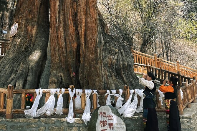 5-Day Luxury Tibet Tour with Culture, Lakes and Photo Shoot - Final Thoughts