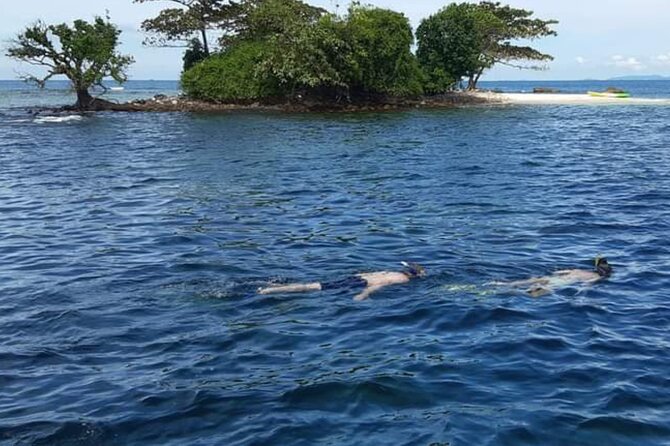 Phu Quoc Coral Reef Diving 1Day Tour - The Complete Breakdown of the Tour Experience