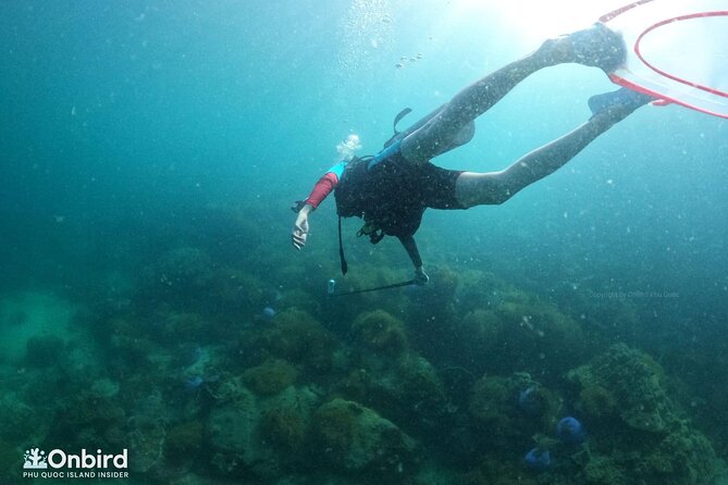 [GROUP] SCUBA DIVING for Certified Divers in Phu Quoc Island - Equipment and Comfort