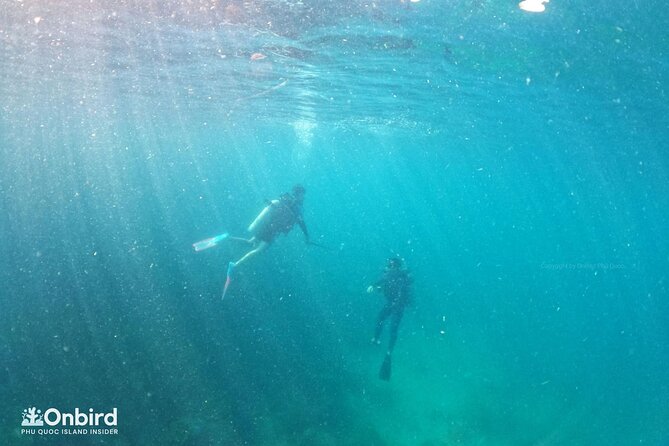 [GROUP] SCUBA DIVING for Certified Divers in Phu Quoc Island - Cost and Value