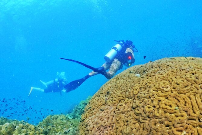 [GROUP] SCUBA DIVING for Certified Divers in Phu Quoc Island - FAQs