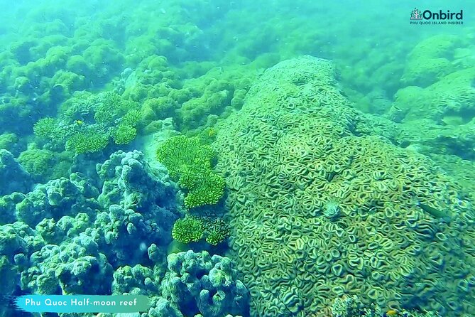 [GROUP] SCUBA DIVING for Certified Divers in Phu Quoc Island - Group Size and Personal Attention