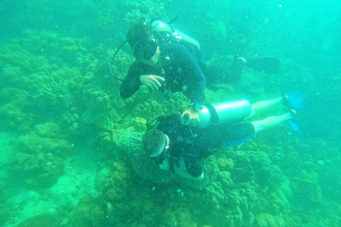 [GROUP] SCUBA DIVING for Certified Divers in Phu Quoc Island - Final Thoughts