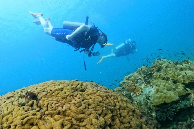 [GROUP] SCUBA DIVING for Certified Divers in Phu Quoc Island - Key Points