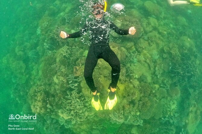 4 Islands & 2 Reefs - Discovery Snorkeling & Relaxing (MAX 12) - The Experience of Snorkeling with OnBird