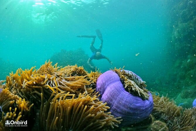 4 Islands & 2 Reefs - Discovery Snorkeling & Relaxing (MAX 12) - Introducing the 4 Islands & 2 Reefs - Discovery Snorkeling & Relaxing Tour