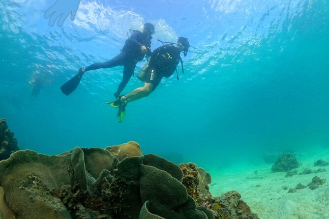 [GROUP] SCUBA DIVING For Beginners in Phu Quoc Island (TRY DIVE) - Transportation & Logistics