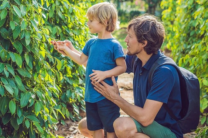 Unique Private Land Tour in South Phu Quoc Island - Relaxing at Bai Sao (Sao Beach)