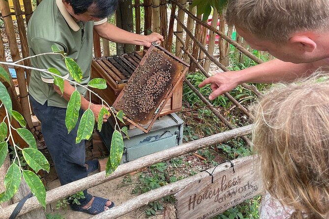 1-Day Northern Islands & Kayak Experience Tour - What’s Included and What to Keep in Mind