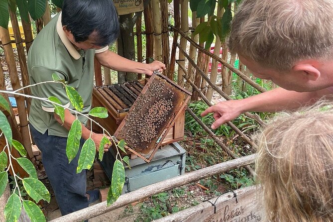 1Day Tour Phu Quoc Northern Island & kayaking Adventure - Nature and Relaxation: Visiting Phu Quoc National Park