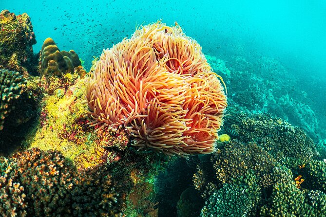 Full Day Phu Quoc Canoe and Cable Car Guided Tour - The Islands: A Closer Look