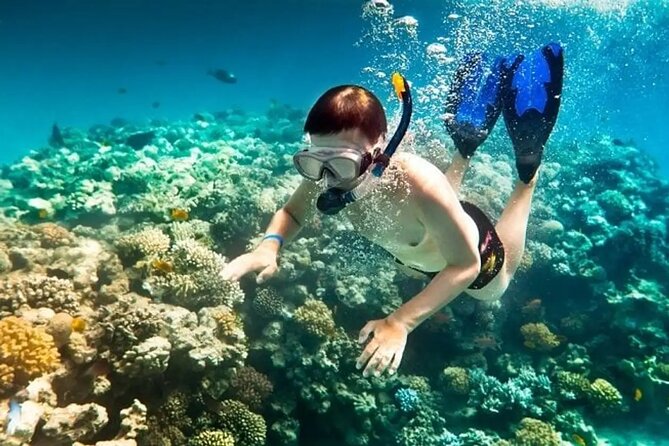 Full Day Phu Quoc Canoe and Cable Car Guided Tour - The Return and Hotel Drop-off