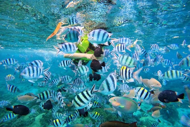 Phu Quoc 3 Islands Snorkeling Trip - What the Tour Includes and What to Consider