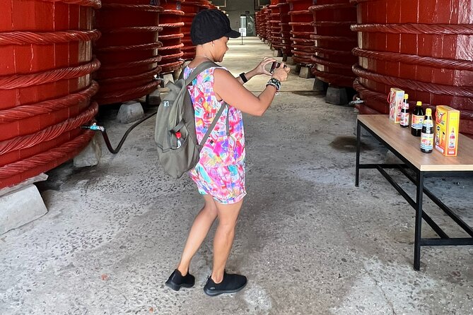 South Island Highlights Tour with Hon Thom Cable Car - The Practicalities: What You Need to Know