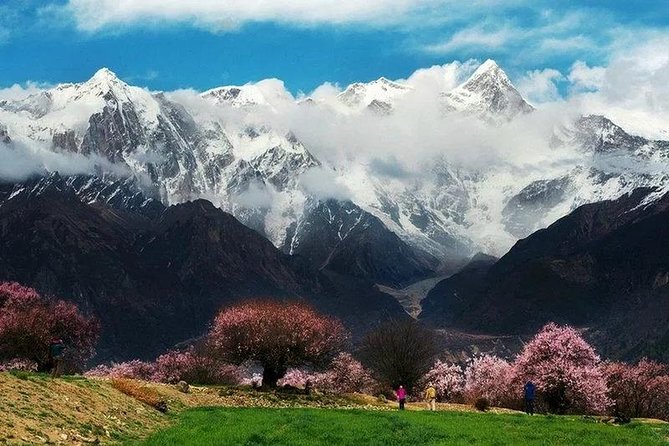 Lhasa Private Departure Transfer: Hotel to Airport - Why Choose This Transfer Service?