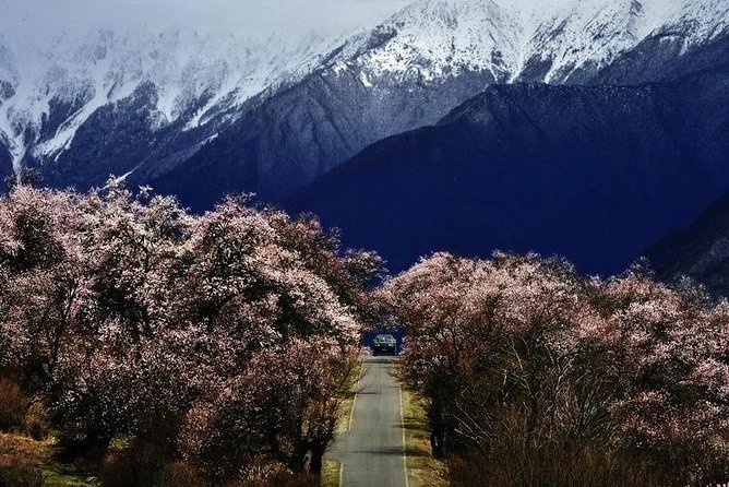 Lhasa Private Departure Transfer: Hotel to Airport - Good To Know