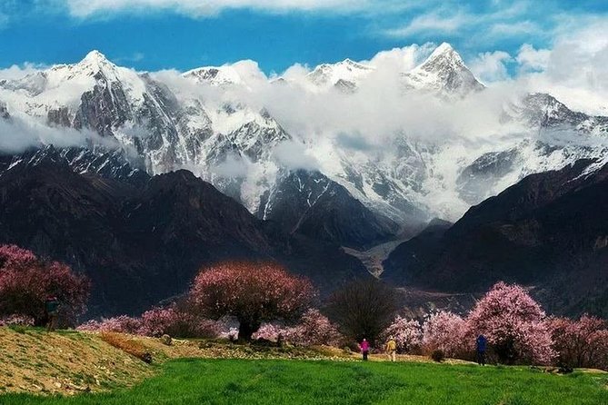 Lhasa Private Arrival Transfer: Airport to Hotel - In-Depth Review of the Lhasa Airport to Hotel Transfer