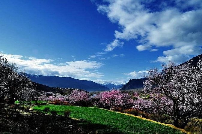 Lhasa Private Departure Transfer: Hotel to Railway Station - FAQ