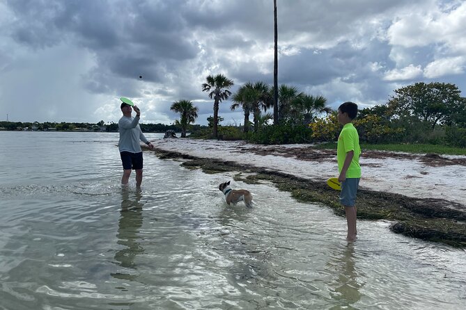 Luxury Single Kayak Tour To An Island Off Clearwater Beach! - Good To Know