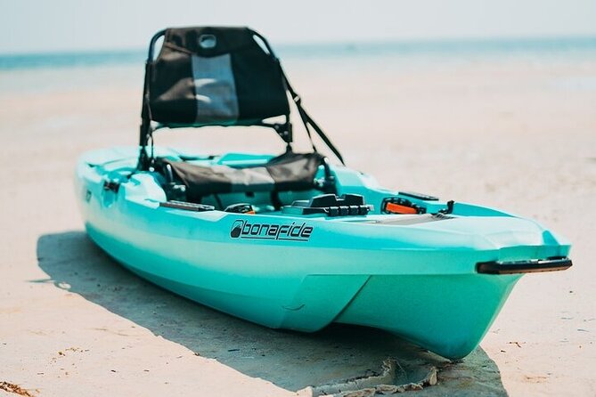 Luxury Single Kayak Tour To An Island Off Clearwater Beach! - Who Will Love This Experience?