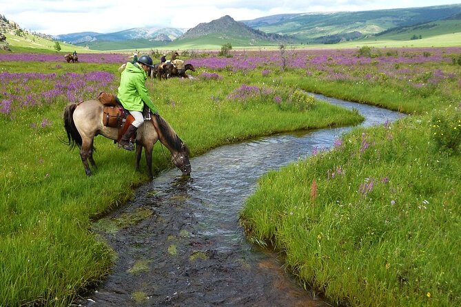 3-Day Horse Trekking Tour in Mongolia  Terelj National Park - Pricing and Value