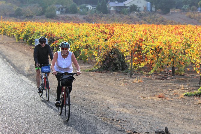 Guided Healdsburg Wine Country Bike and Wine Tasting Tour with lunch - The Sum Up