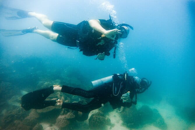 Two Fun Dives for Certified Divers in Koh Kood or Koh Rang - Key Points