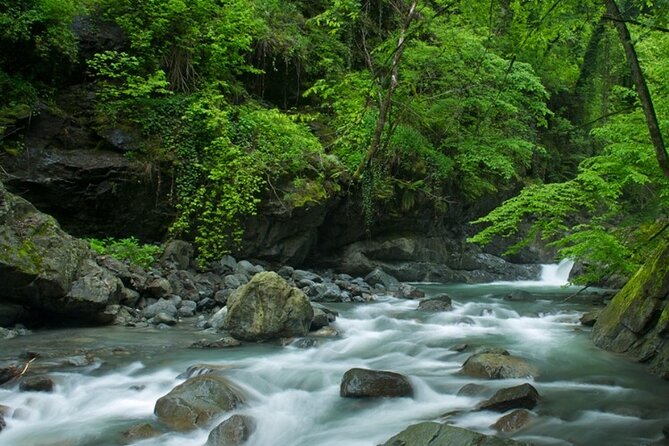 Lagodekhi - A day hiking from Tbilisi - Key Points