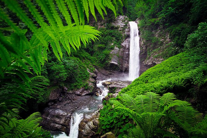 Lagodekhi - A day hiking from Tbilisi - FAQs