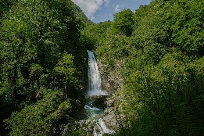 Lagodekhi - A day hiking from Tbilisi - Exploring Georgia’s Natural Wonder: A Day Hike from Tbilisi to Lagodekhi