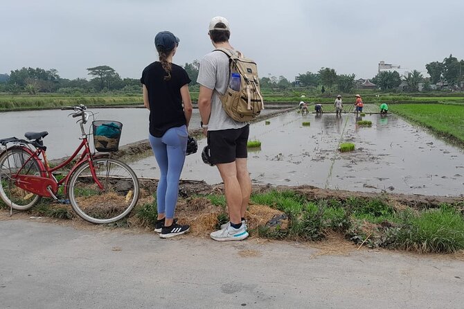 Yogyakarta Cycling Tour Around the Villages and Fish Farm - Final Thoughts: Is This the Right Tour for You?