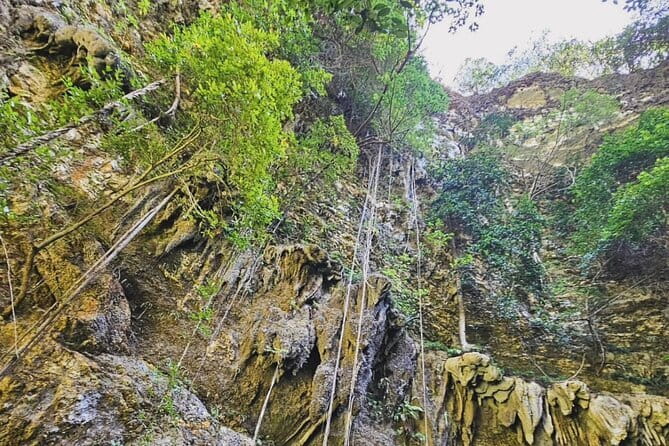 Yogyakarta Jomblang Cave and Pindul Cave Tour - A Complete Breakdown of the Itinerary