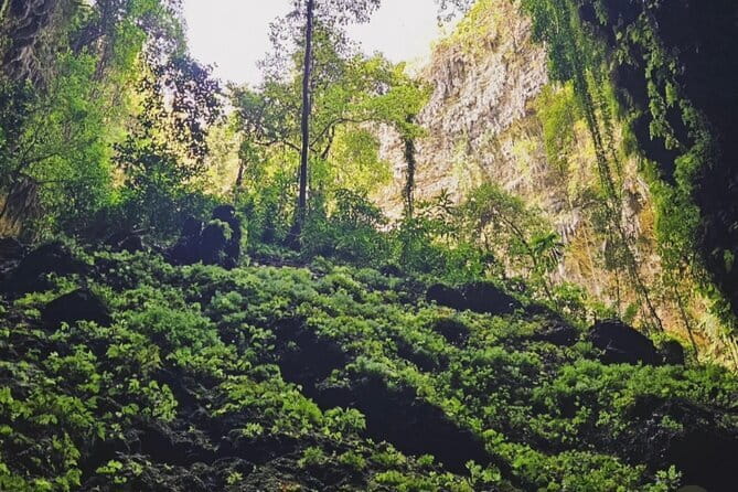 Yogyakarta Jomblang Cave and Pindul Cave Tour - Possible Considerations